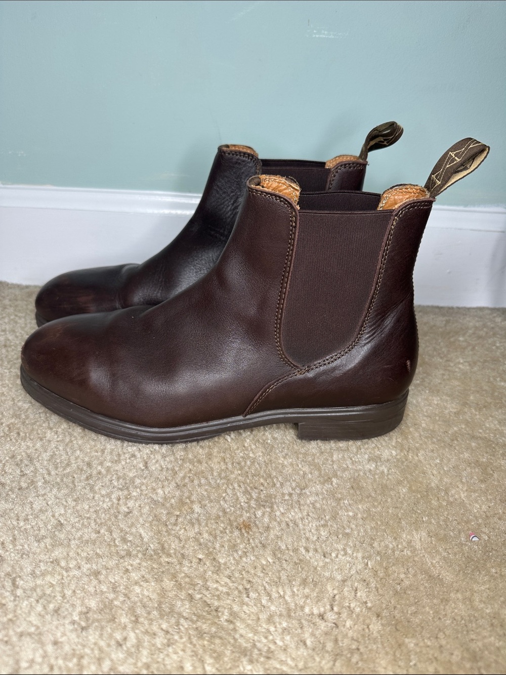 Xena Workwear Valence SD Women's Steel Toe Chelsea Boots Chestnut Brown 9.5